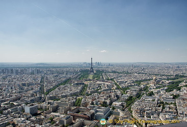 View of the Eiffel Tower from Montparnasse Tower